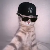 author :: the coolest one 