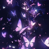 unknown
