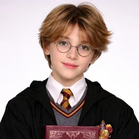 Harry Potter (FL BFF)