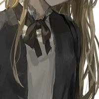 Y/N