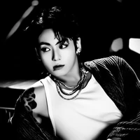 jeon Jungkook (kook)