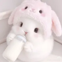 Bun Bun