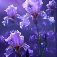 Kim Taehyung, 10 Y.O