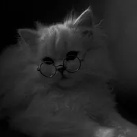 billo