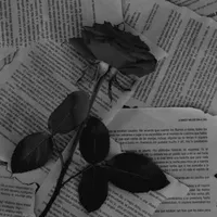 ♣Thia•♪•{AUTHOR}