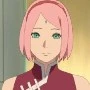 Sakura