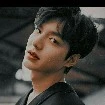 lee min ho(papa jisoo)