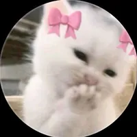 meow 2