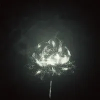 ？？？