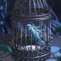 Bird...?!!