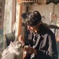 zᴀᴇᴠɪ