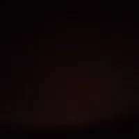 Ppl