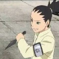 shikadai