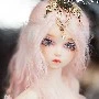 aurther (xiao