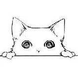 White Cat