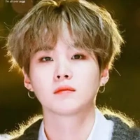 Min Yoongi ( Jk BFF)