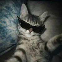 Kat 