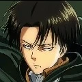 Levi