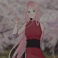 sakura