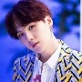 Min Yoongi(tangan kanan lisa)