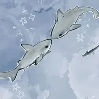shark author 