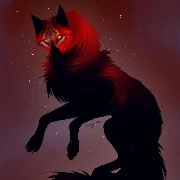 Night