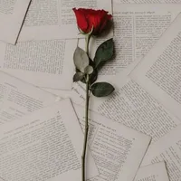 your author ♥️ 