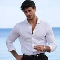 Veer