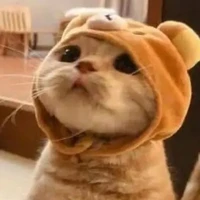 แอดสุดเท่