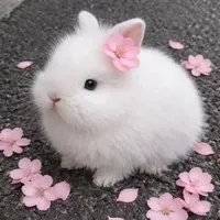 Snowy 💋 ( cutie patoti )