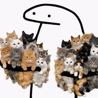Cat kidnapping author