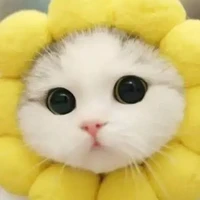 น้องข้าวโพด (แอด)