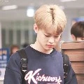 chenle