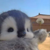 Author(⁠｡⁠♡⁠‿⁠♡⁠｡⁠)