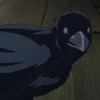 crow