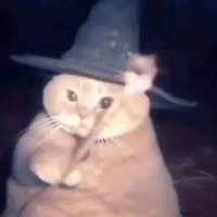 angel cat