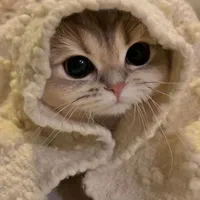 ????