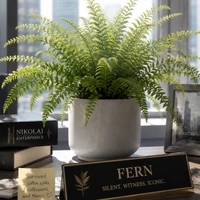 fern