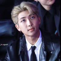 JEON NAMJOON[ELITE ALPHA/VIN FATHER]
