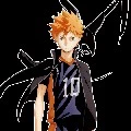 hinata shoyo