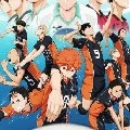 all of haikyuu