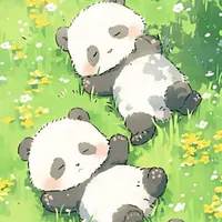Unknown