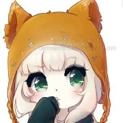 Lil fox