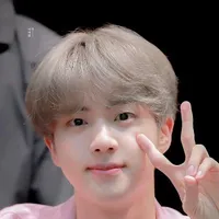 seok jin/past