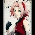 sakura