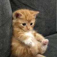 me