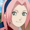 Mini Sakura