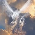Nix ( The Silver Phoenix )