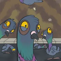 Pigeons on side street