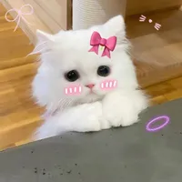 mimi